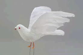 Dove 4" wht feather 12/bx 5571