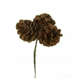 CONE Pick 2.5" x3 natural(50pc