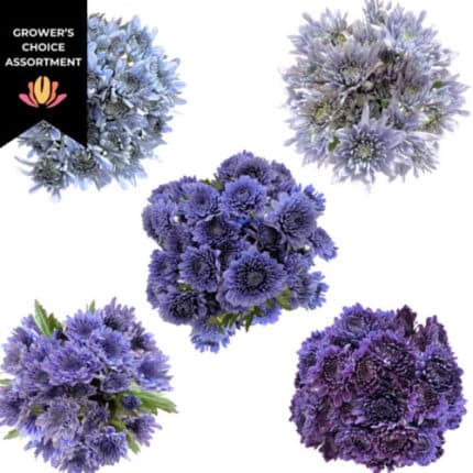 Pom Cushion BluOcean Series (x18 case) gdns