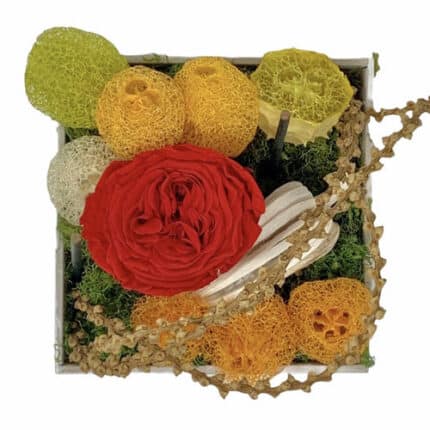 Eternal Dried Passion box holex