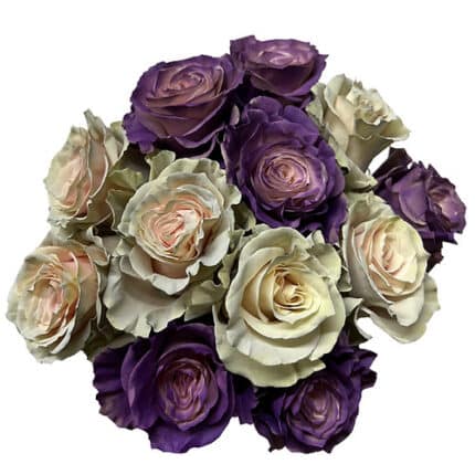 Rose Honesty 50cm florecal