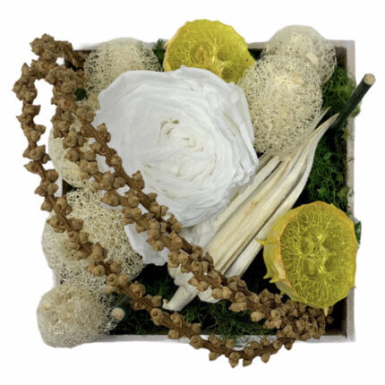 Eternal Dried White box holex