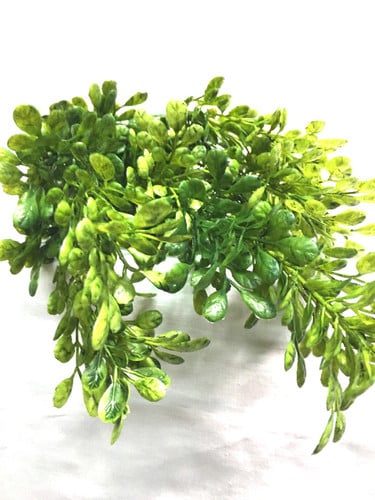 Plastic boxwood bush green eac
