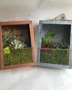 6" PLANT WALL HANGER