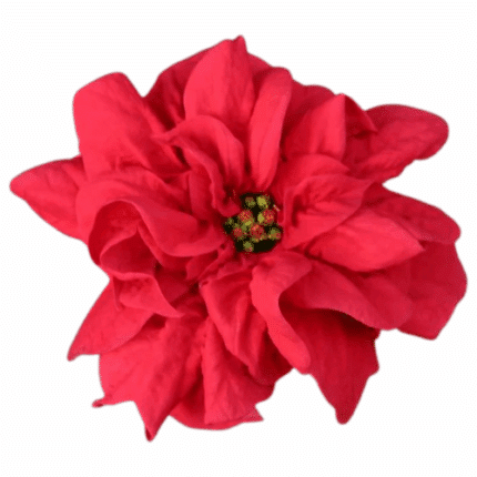 Poinsettia Red Cut (stem) hendricks