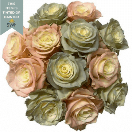 Rose T La Vie En Rose 50cm flo