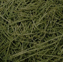 ASPEN WOOD BASIL