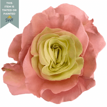 Rose Fruit Tart 50cm florecal