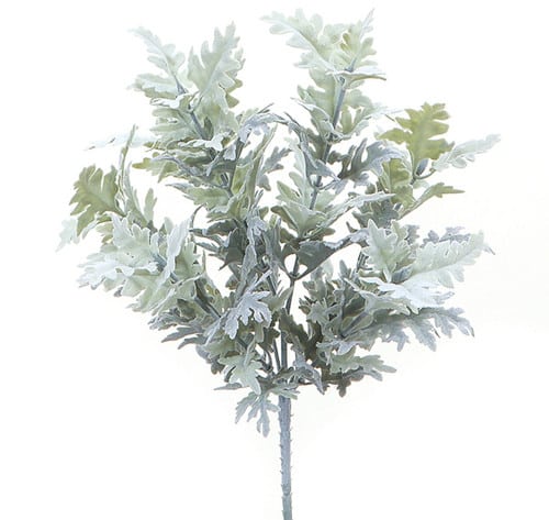 9a005743-53b2-43f2-b58f-776d04f7a194.jpg Dusty Miller Lacey camflor - Image 1