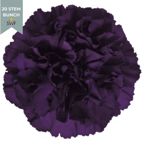 9c7813be-a671-487d-9f91-ddb70327d501.png Carn. Sel Moonvista holex - Image 1