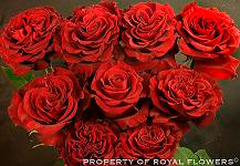 Heart 70 rfi