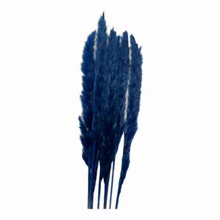Pampass Silvy Dyed Blue 75cm holl