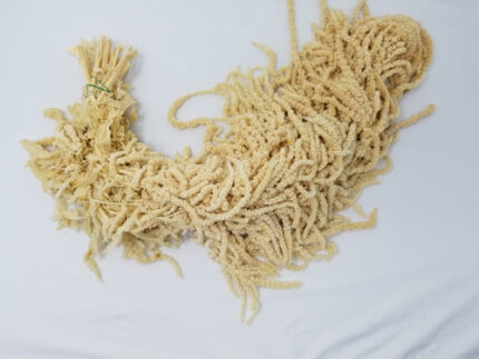 Amaranthus Bleached holl