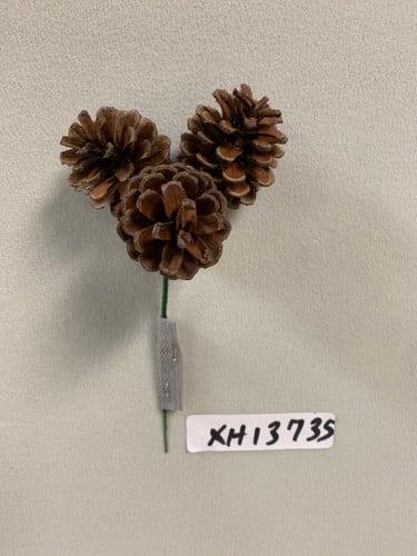Pick cone 1.75" x3 natural 1dz