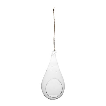 Terrarium Teardrop 3 1/2"x7 6cs