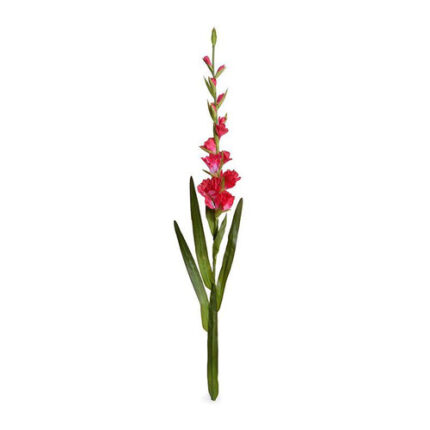 Glad Cerise canada