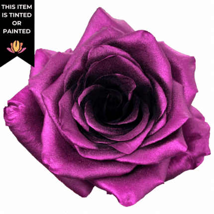 Rose Raisin Pearl 60cm floreca