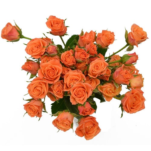 a97378f5-9c9b-4613-a479-41232ba3b9a9.jpg RoseSpray Orange golden - Image 1