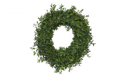 24" BOXWOOD WREATH