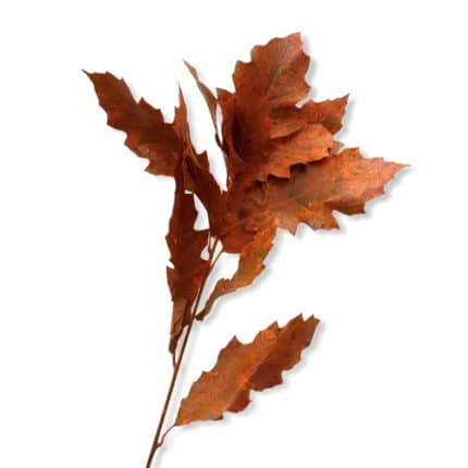 Oak Leave Painted Frost Org ho
