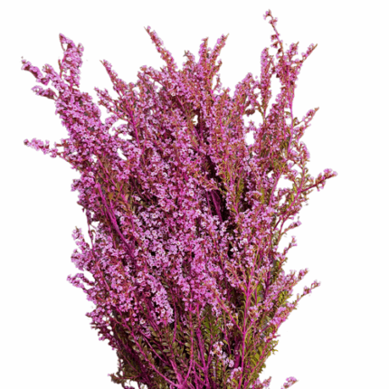 Heather Pink camflor