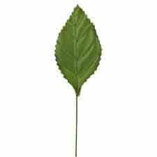 Leaves Corsage 2 1/4" moss 100 per pack
