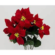 Bush Poinsettia Velvetx12 4927