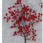 PICK Berry Mini Red #2282R