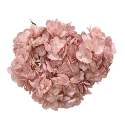 Hydrangea Spectrum Mauve Antique