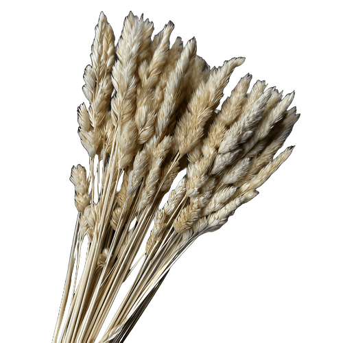 b2d69b70-13b3-4140-badd-dd3f25402e78.png Dried Wheat Natural holl - Image 1
