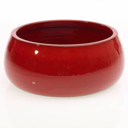 Turner Bowl 10.25"x4.75"