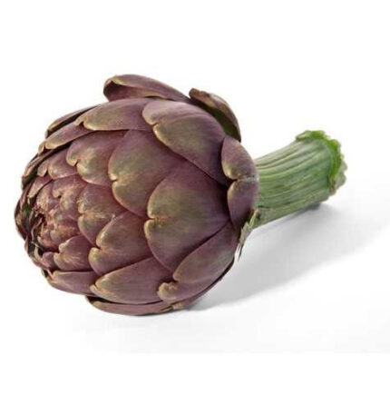 Artichokes Purple fisher(STEM)