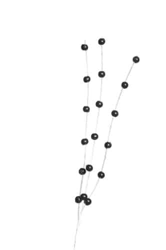 Pearl spray black 12/pack