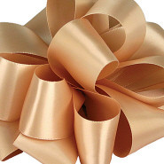 #9 DBL FACED RAW SILK 25yrds