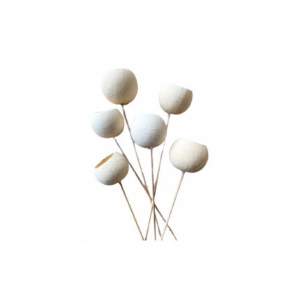 Bell Cup on stems bleached 6pc