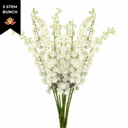 Delph Elatum White valleflor