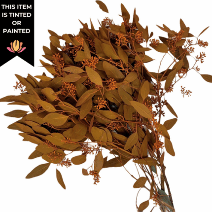 Eucalyptus Seeded Orange tutul