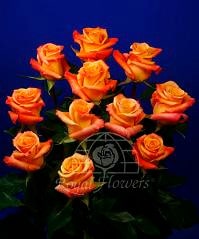 Rose OrangeUnique 40cm rio