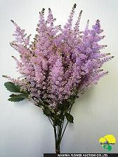Astilbe lt purple japanese