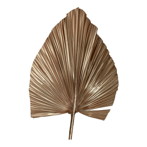 b93a7701-891d-462a-9eb1-213762101073.png Palm Dried Copper Metallic holex(STEM) - Image 1