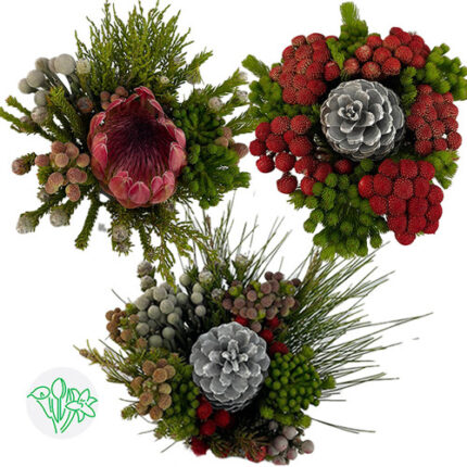 Boquet Cape Xmas Mix Holex