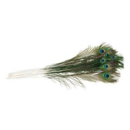 Feather Peacock 30"-35" 10stm