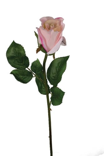 Rose bud pink stem 19" 1dz