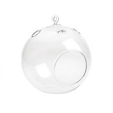 Terrarium Round Clear holder w/hook 6.5" H x 5.5" D each
