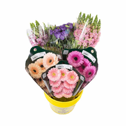 Asst Flower Pail blush-cious c