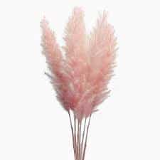 GRASS Feather Rose Pink 3pc/bu