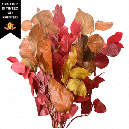 Dried Salal Fall holl
