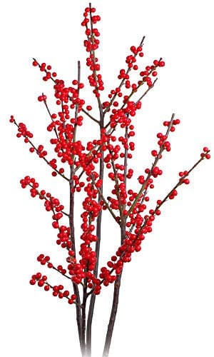 Ilex red quick