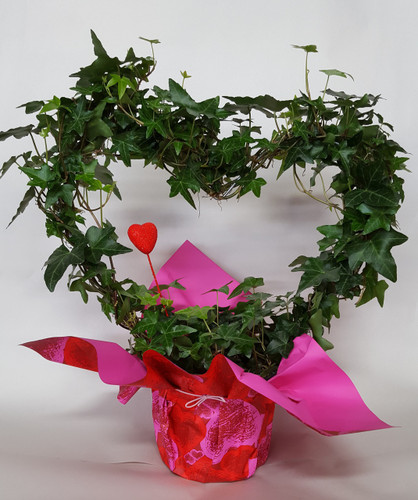 6" FOLIAGE DECO IVY HEART