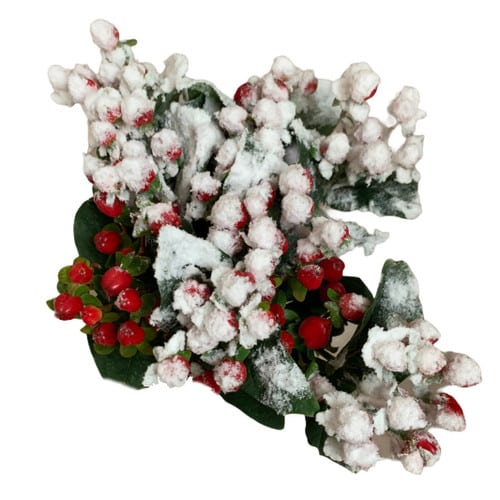 bde30cce-91e4-4369-a32d-594ce97bb39d.jpg Hypericum Snow holl - Image 1
